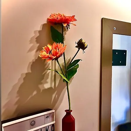 Malaviko, Bazen&spa *