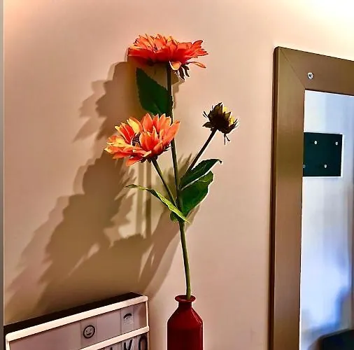 Malaviko, Bazen&spa *