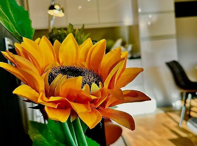 Malaviko, Bazen&spa * Zlatibor