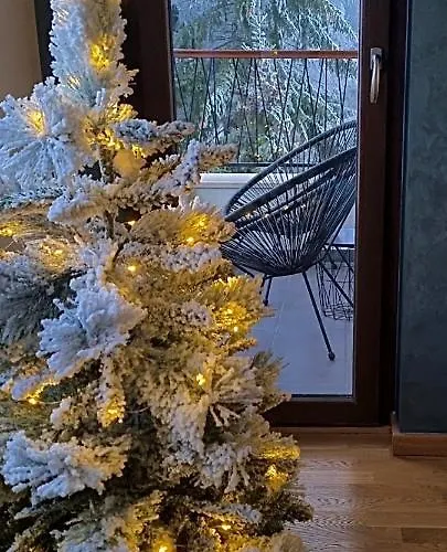 Malaviko, Bazen&spa Apartment Zlatibor